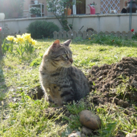 Photo #214839 de Gridouche