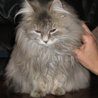 Photo #215010 de Isis