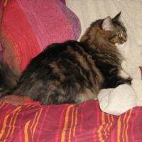 Photo #215022 de Léo