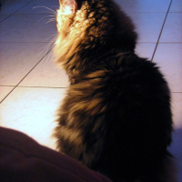 Photo #215023 de Léo