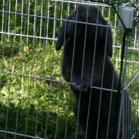 Photo #215040 de Nelson