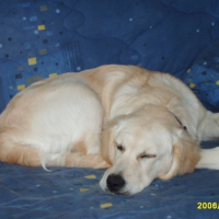 Photo #215082 de Canelle
