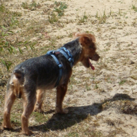 Photo #215085 de Mambo