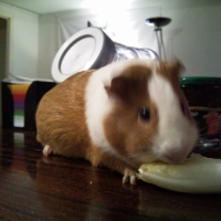 Photo #215190 de Mily