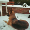 couchée dans la neige -2005
