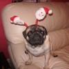 c'est bientôt Noël !!
