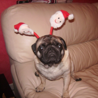 Photo #215223 de Oscar