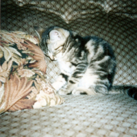 Photo #215226 de Titine