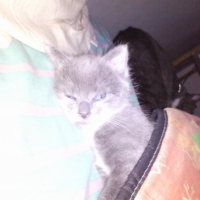 Photo #215264 de Louloutte ou ma p'tite merdeuse!!!