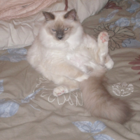 Photo #215305 de Elias