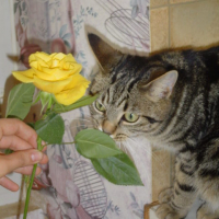 Photo #215382 de Mayanne