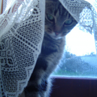 Photo #215383 de Mayanne