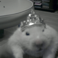 Photo #215385 de Tylain