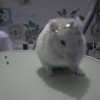 Photo #215386 de Tylain