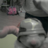 Photo #215387 de Tylain