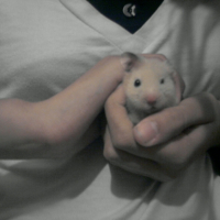 Photo #215388 de Tylain
