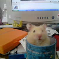 Photo #215389 de Tylain