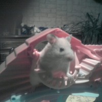Photo #215390 de Tylain