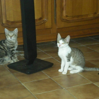 Photo #215398 de Eliot