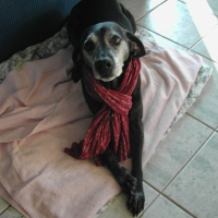 Photo #215409 de Funky