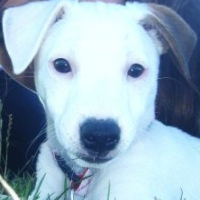 Photo #215439 de Easy