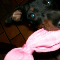 Photo #215448 de Elsy