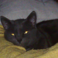 Photo #215559 de Ubu