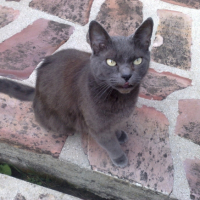 Photo #215560 de Ubu