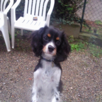 Photo #215639 de Easy