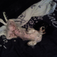 Photo #215640 de Easy