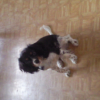 Photo #215641 de Easy