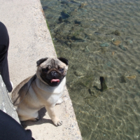 Photo #215654 de Cirka