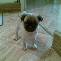 Photo #215659 de Cirka