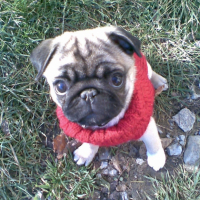 Photo #215661 de Cirka