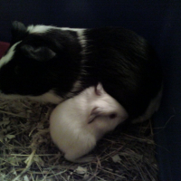 Photo #215671 de Lilli