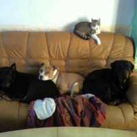 Photo #215698 de Ulback 