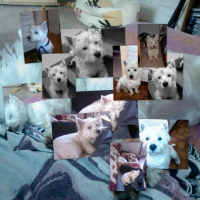 Photo #215704 de Bounty
