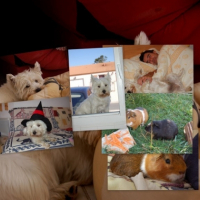 Photo #215705 de Bounty