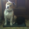 Ulback et Chica ^^
