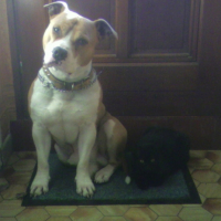 Photo #215709 de Ulback 