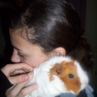 Photo #215721 de Surprise