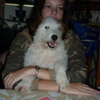 Photo #215772 de Daisy