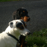 Photo #215773 de Eclipse 