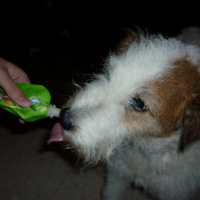 Photo #215776 de Daisy