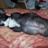 Photo #215909 de Nohan