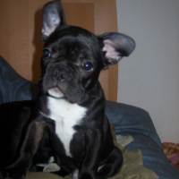 Photo #215911 de Walle