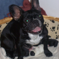 Photo #215912 de Nohan