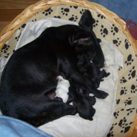 Photo #215913 de Nohan