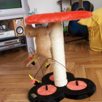 Photo #215926 de Burn-e
