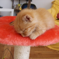 Photo #215927 de Burn-e